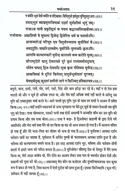 Ganesh Puran 2 vols.